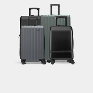 Check-In Luggage